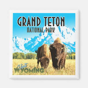 Aimant Le Parc national de Grand Teton