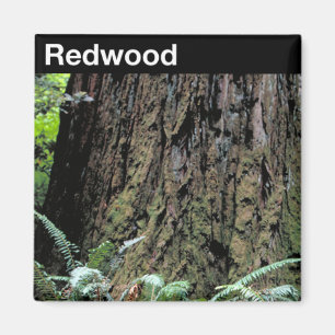 Aimant Le parc national de Redwood