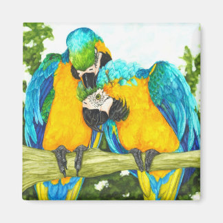 Aimant Le point sucré - Macaws bleu et or