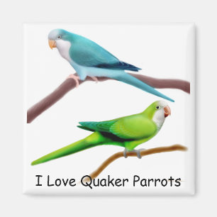 Aimant Le quaker Parrots l'aimant