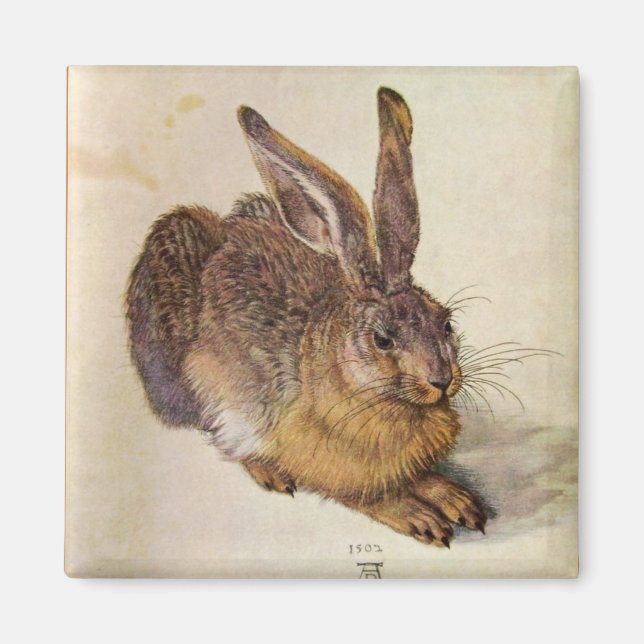 Aimant LE RABBIT ( Jeune Lièvre ) (Devant)
