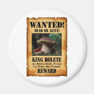 Aimant Le Roi Bolete - mort ou vivant Recherché