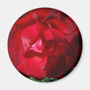 Aimant Le rouge de l'automne