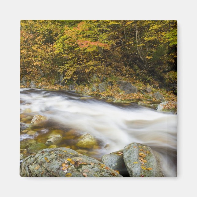 Aimant Le ruisseau Roaring à l'automne dans le Vermont's  (Devant)