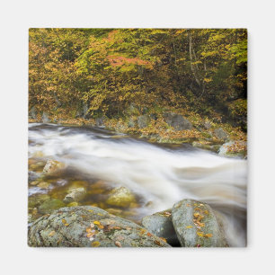 Aimant Le ruisseau Roaring en automne dans le vert du Ver