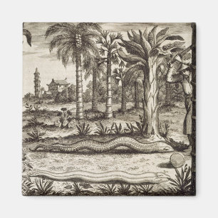 Aimant Le serpent en pierre, de "Chine a illustré" par