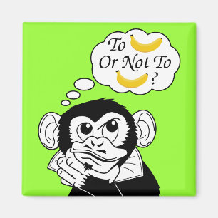 Aimant Le singe de Shakespeare