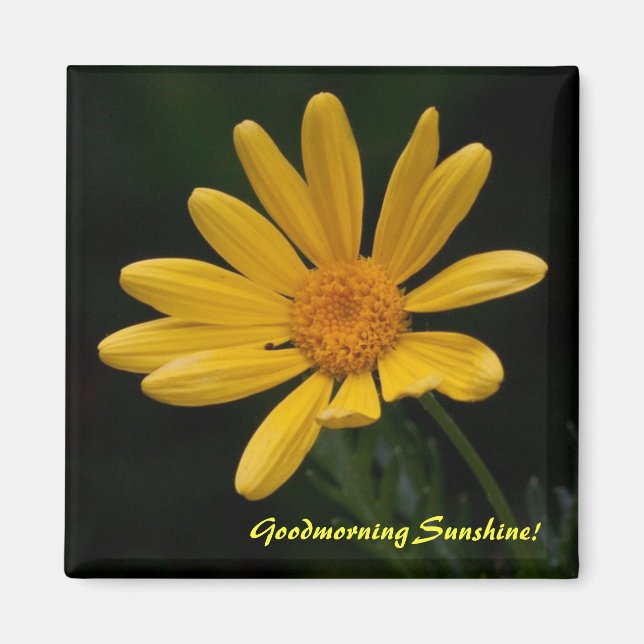 Aimant Le soleil du bonjour (Devant)