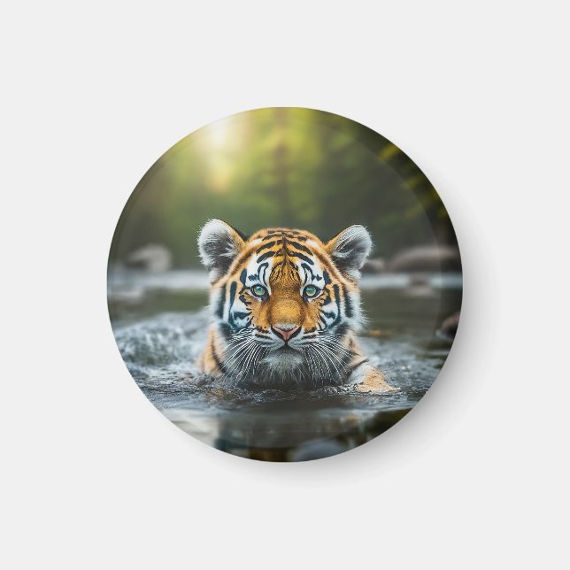 Aimant Le tigre d'eau : un prédateur majestueux (Devant)