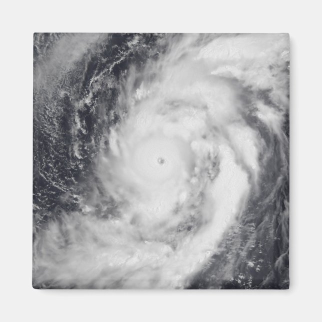 Aimant Le typhon Damrey dans l'ouest de l'océan Pacifique (Devant)