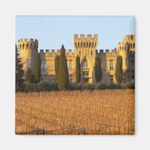 Aimant Le vignoble avec des vignes de syrah et le château