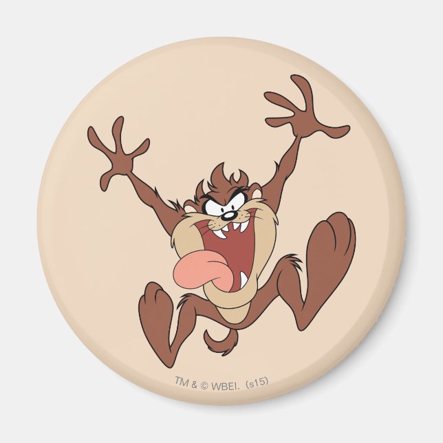 Aimant Leapage TAZ™ (Devant)