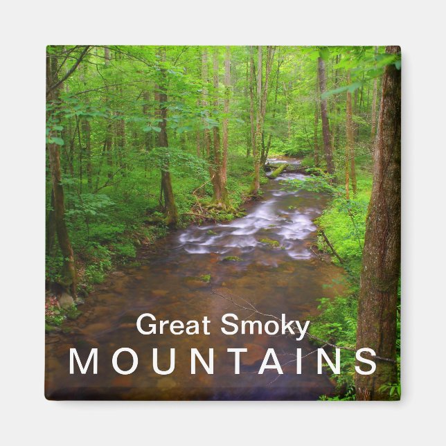 Aimant L'eau dans le parc national des Great Smoky Mounta (Devant)