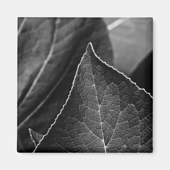 Aimant leaves (Devant)