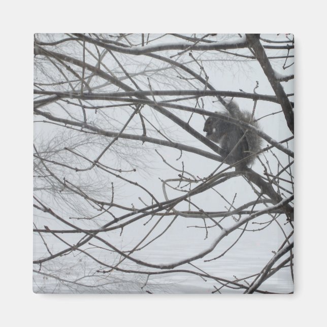 Aimant L'écureuil dans l'aimant de la neige (Devant)