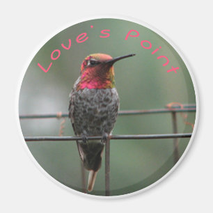 Aimant Légende du point de l'amour d'aimant de colibri