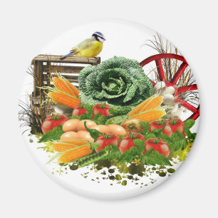 Aimant Légumes et oeufs