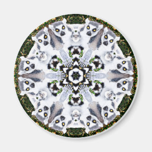 Aimant Lemur Kaleidoscope