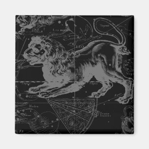 Aimant Leo Constellation Hevelius 1690 Décor