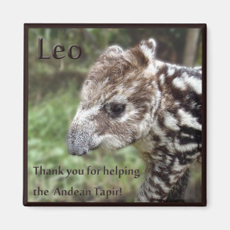 Aimant Leo le Tapir andin