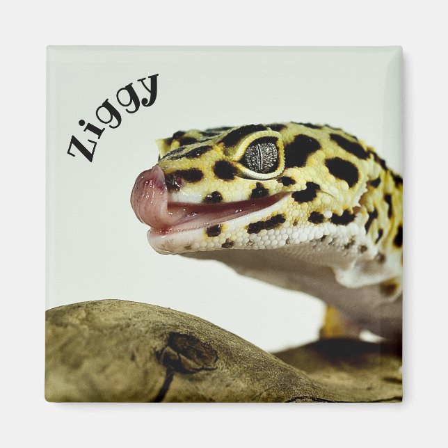 Aimant Leopard personnalisé Gecko Lizard (Devant)