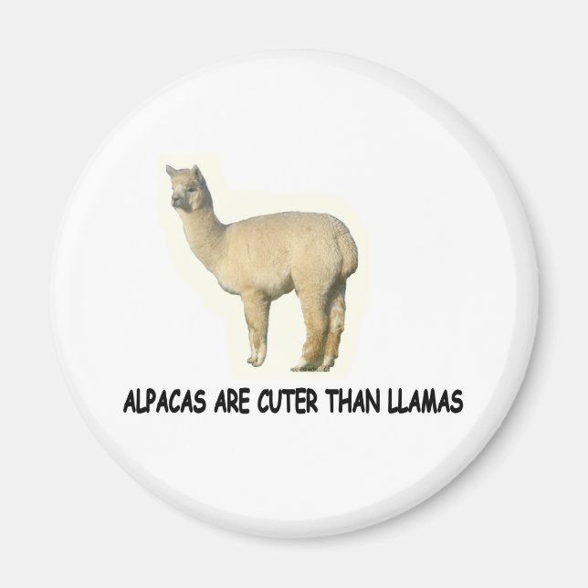 Aimant Les alpacas sont plus mignons que les lamas (Devant)