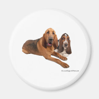 Aimant Les amis de Basset et de Bloodhound