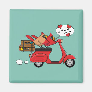 Aimant Les amoureux du Cardinal Rouge sur Scooter