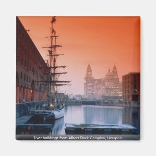 Aimant Les bâtiments de foie d'Albert accouplent le