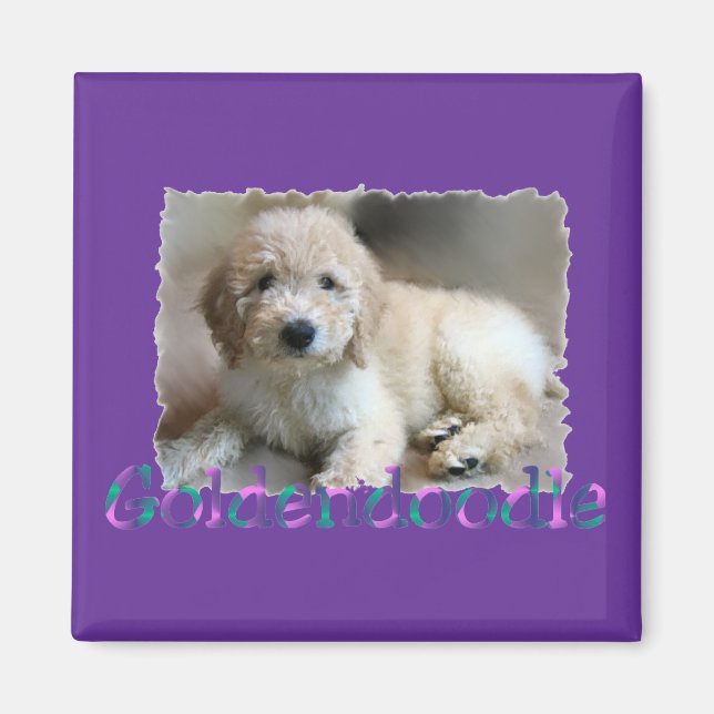 Aimant Les cadeaux Goldendoodle Lovers (Devant)