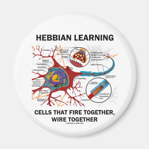 Aimant Les Cellules D'Apprentissage Hebdomadaires Font Fe