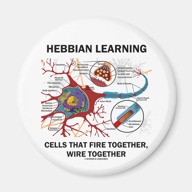 Aimant Les Cellules D'Apprentissage Hebdomadaires Font Fe (Devant)