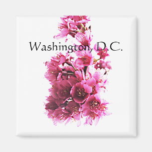 Aimant Les cerisiers fleurissent. Washington, D.C.