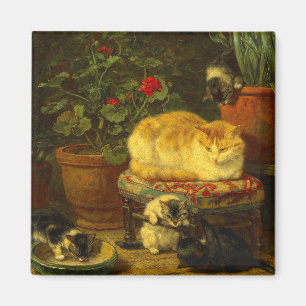 Aimant Les chatons en jeu