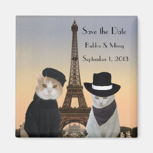 Aimant Les chats drôles sauvent le mariage de Paris de