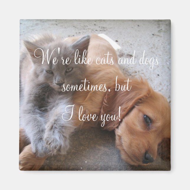 Aimant Les chats et les chiens aiment l'aimant (Devant)