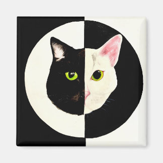 Aimant Les chats noirs et blancs font face au yin et au y