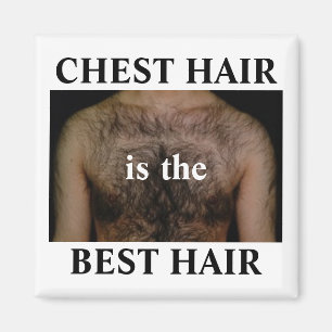 Aimant Les cheveux de coffre sont les meilleurs cheveux