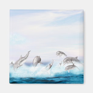 Aimant Les dauphins qui sautent