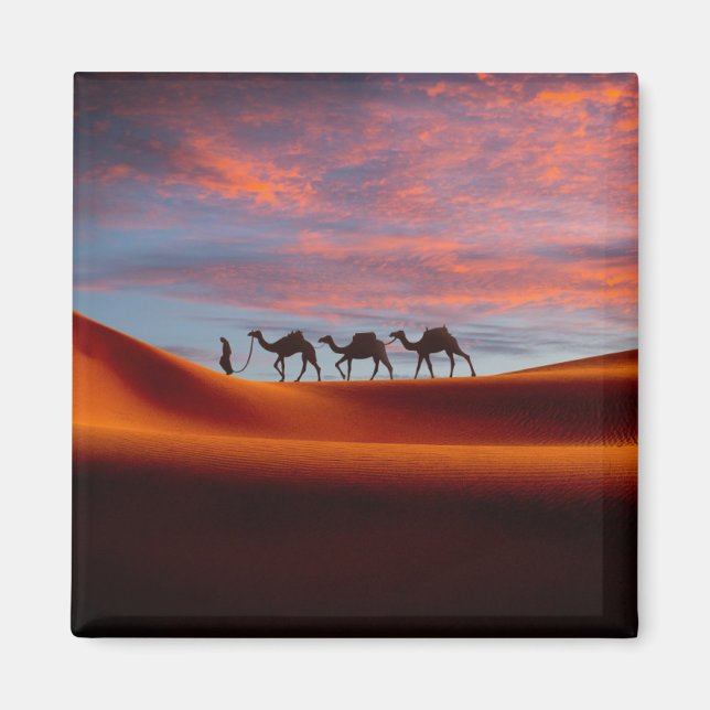 Aimant Les déserts | Homme et chameaux dans les dunes de  (Devant)