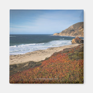 Aimant Les Etats-Unis, la Californie, grand Sur, plantes