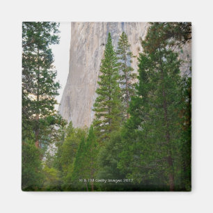 Aimant Les Etats-Unis, la Californie, parc national de