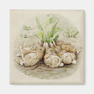 Aimant Les lapins de Flopsy endormis (par Beatrix Potter)