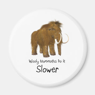 Aimant Les Mammoths Laineux Le Font Plus Lentement