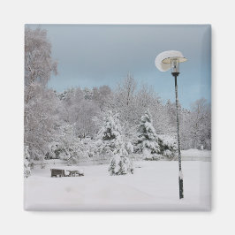 Aimant Les merveilles hivernales