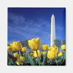 Aimant Les monuments   Washington Monument au printemps