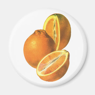 Aimant Les nourritures vintages, portent des fruits les
