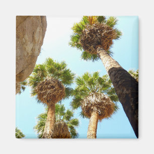 Aimant Les palmiers d'Oasis au parc national de Joshua Tr