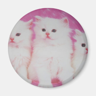 Aimant Les prochains grands modèles américains