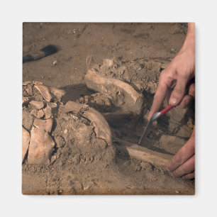 Aimant Les restes humains